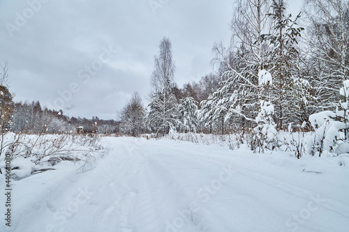 Winter road and snow covered trees in the forest on the roadside