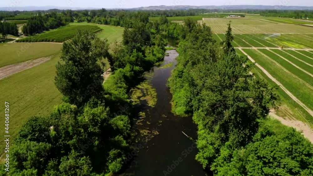 Calm Lake In Dense Trees On A Greenery Rural Farm Landscape At Sunny Day. - Aerial Drone Shot Calm Lake In Dense Trees On A Greenery Rural Farm Landscape At Sunny Day. - Aerial Drone Shot