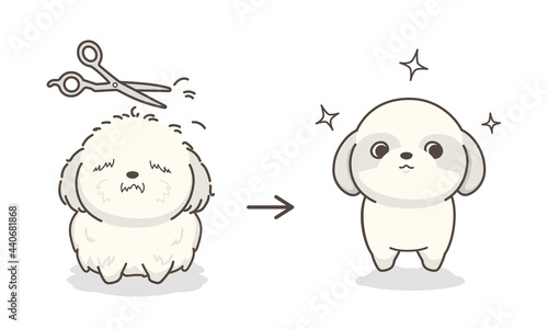 ドッグトリミング　before and after