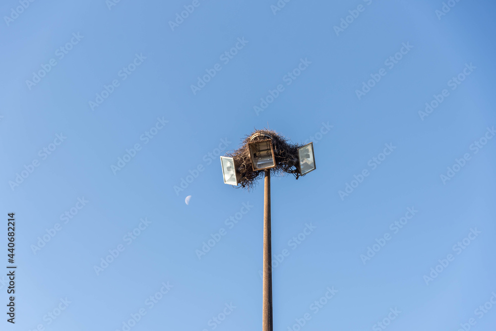 Light tower with birds nest on blue background. Light tower with birds nest on blue background.