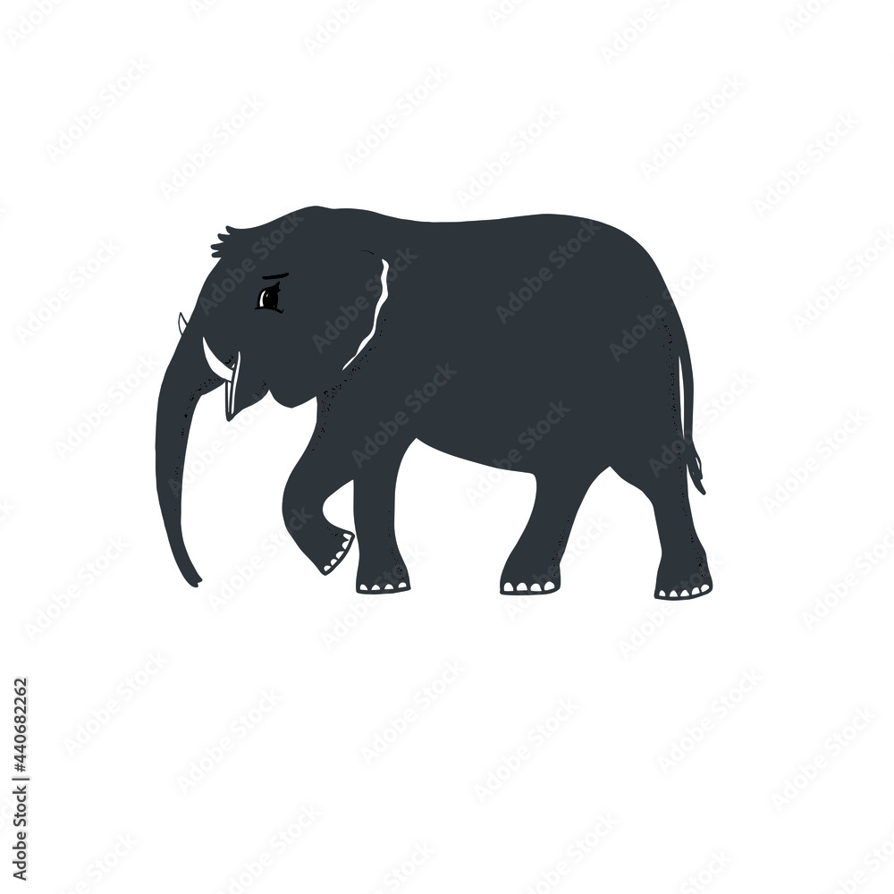 Obraz premium Graphic grey elephant silhouette animal