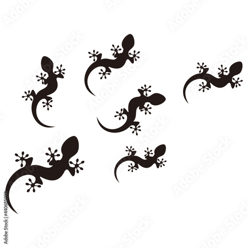 Lizard  set, icon vector illustration symbol