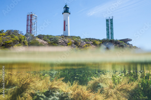 A split view underwater into a rockpool below a lighthouse and signal towers photo