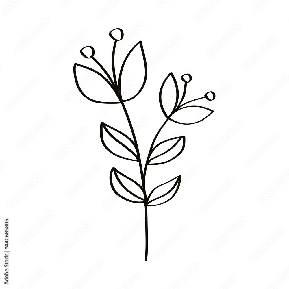 sketch nature flowers sketch nature flowers