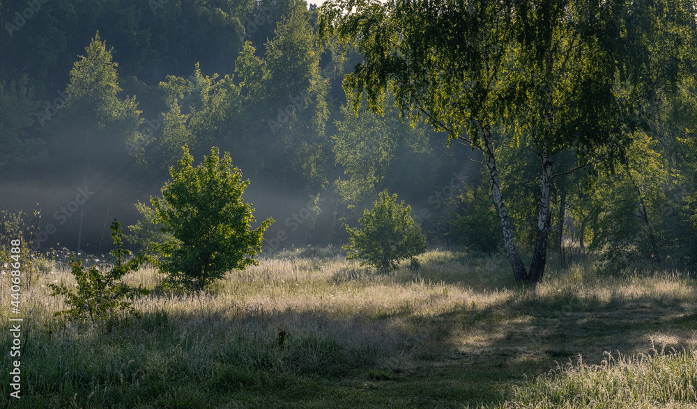The road leads through meadows and woodlands. The nature is picturesque. Tourism. The road leads through meadows and woodlands. The nature is picturesque. Tourism.