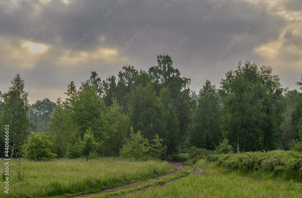 The road leads through meadows and woodlands. The nature is picturesque. Tourism. The road leads through meadows and woodlands. The nature is picturesque. Tourism.