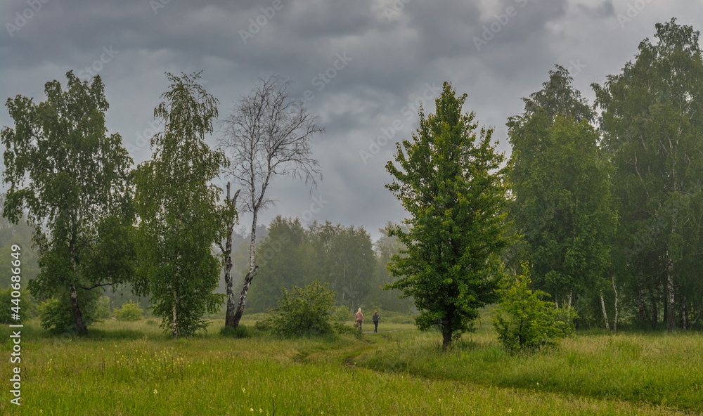Fototapeta premium The road leads through meadows and woodlands. The nature is picturesque. Tourism.