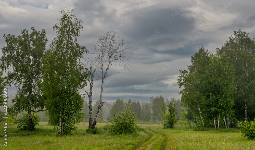 Obraz premium The road leads through meadows and woodlands. The nature is picturesque. Tourism.