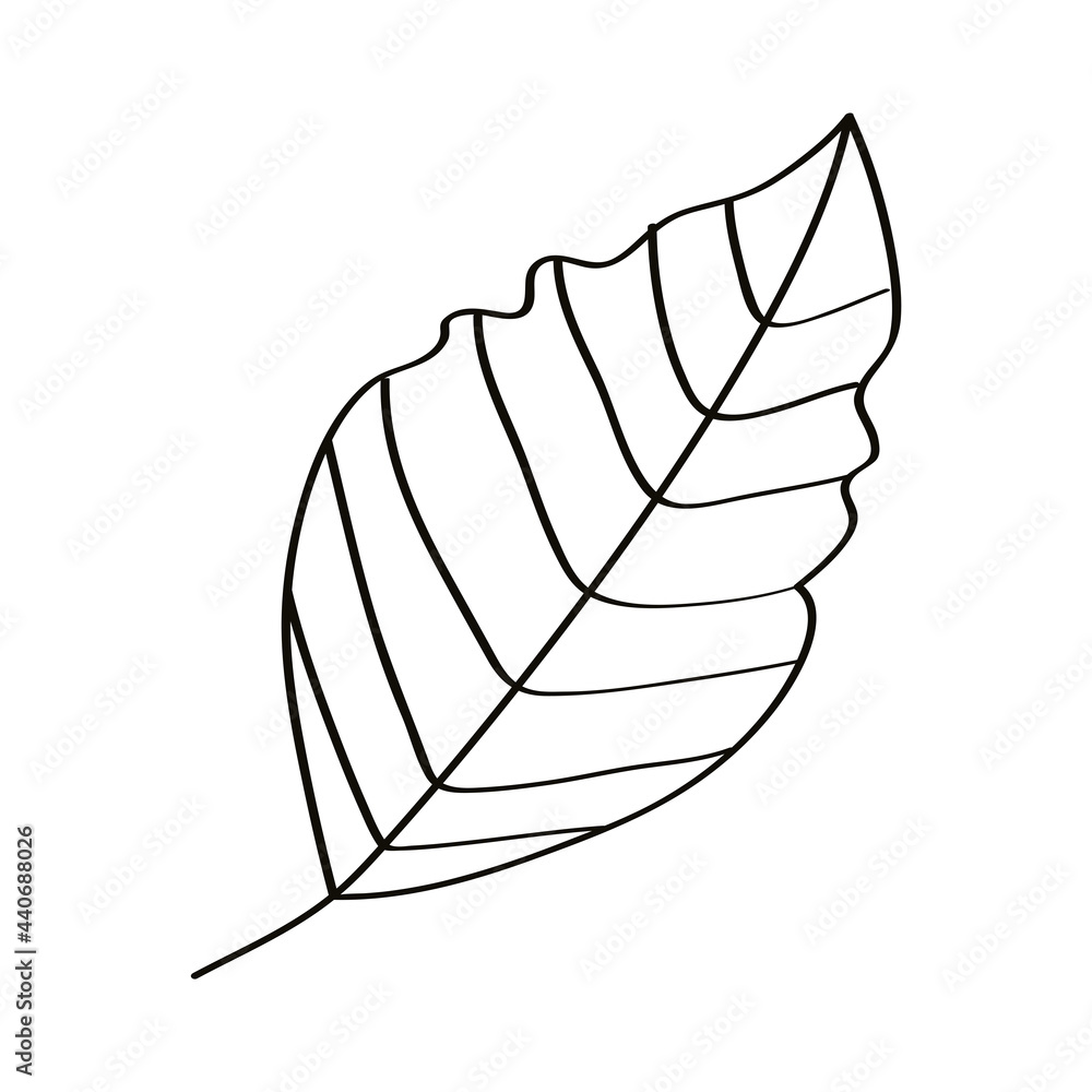 leaf nature icon
