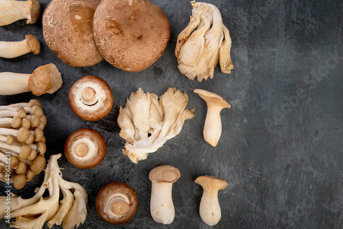 Mushrooms varieties on dark background. Delicious and nutritious ingredients for vegan food.