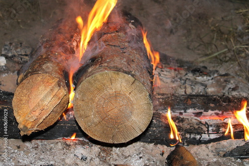 firewood in the fire