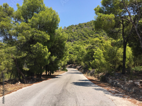 The main road linking through a forest of pine trees the towns of Skala and Megalochori to Aponisos on the island of Agistri, Greece.