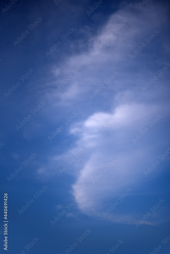 White clouds in blue sky. Vertical view.
