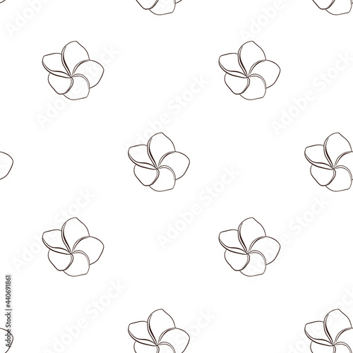 Line Art Exotic Plumeria Flowers Seamless Pattern. Hand drawn frangipani flower for backdrop, wrapping paper, fabric, textile, web, wallpaper, spa and beauty care products