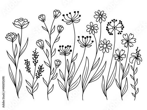 Hand drawn flower sketch line art illustration set.