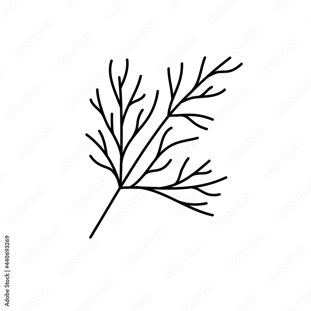 Naklejka premium Dill herbs. Vegetable sketch. Thin simple outline icon. Black contour line vector. Doodle hand drawn illustration