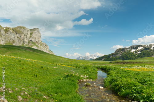 green meadow in Lukavica Plateau in the spring, Montenegro photo