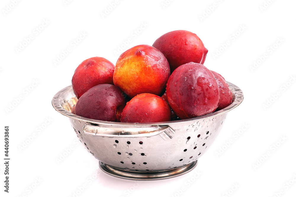 Fresh ripe nectarines in steel colander isolated on white background. Water drops on washed nectarines. Fresh ripe nectarines in steel colander isolated on white background. Water drops on washed nectarines.