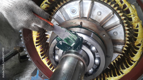 Slika na platnu Rotor shaft and bearing for electric motor , Overhaul electric motor and change