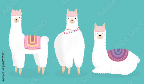 A set of hand-drawn cartoon white llamas, alpacas on a blue background. Suitable for children's birthday card design, party invitation, clothing design, poster, stickers. Vector illustration