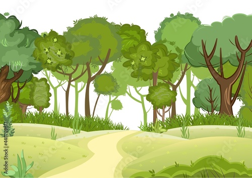 Forest road. Summer landscape. Dense foliage. Views of hills and green trees. Cartoon flat style. Light foggy thickets. Nature illustration. Isolated. Trunks of trees. Vector