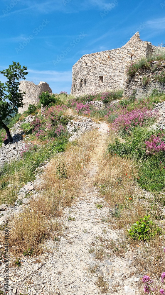 Ponteves castle in the South of France