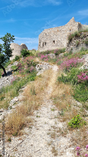 Ponteves castle in the South of France