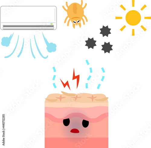 荒れた皮膚のキャラクターと刺激の要因