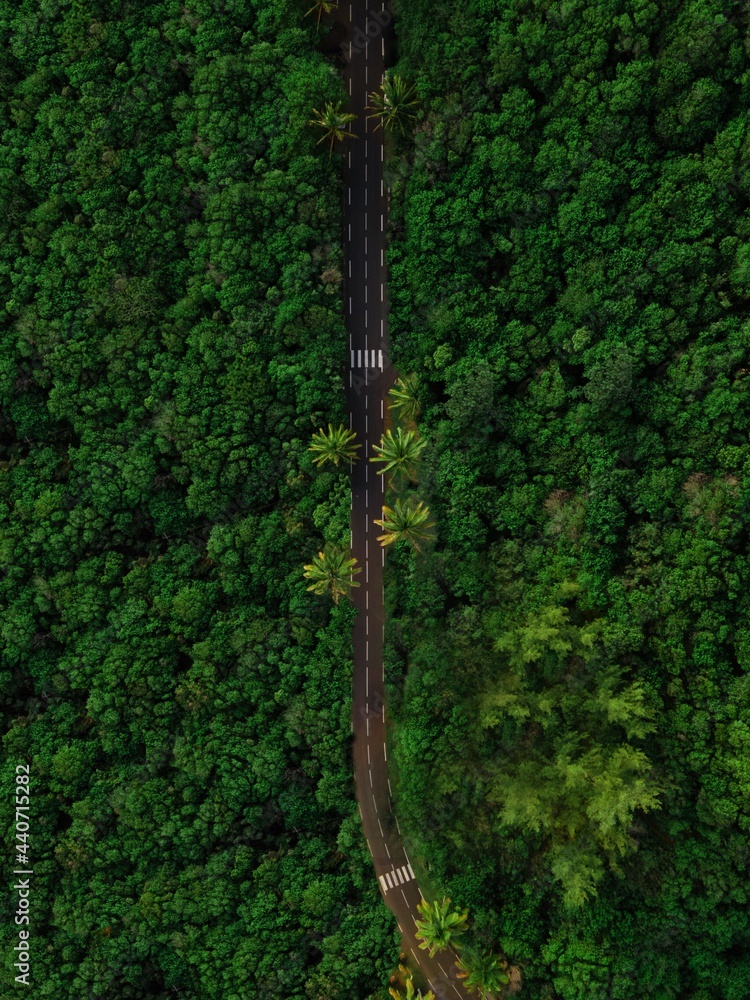 Fototapeta premium Lost road 