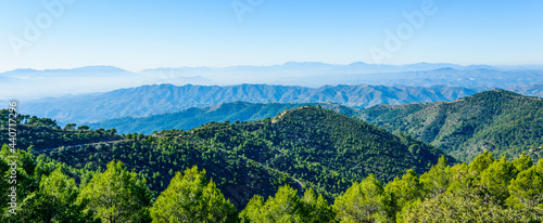 Cuadro en lienzo Parque Natural de los Montes de Malaga, Andalusia, Spain, Europe