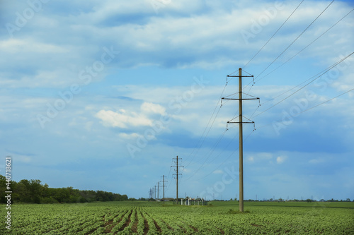 Φωτογραφία Field with telephone poles under cloudy sky