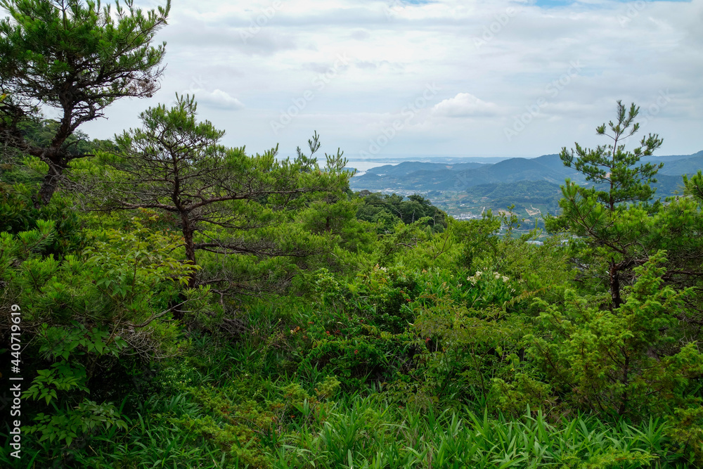 Obraz premium 奥三河 登山イメージ