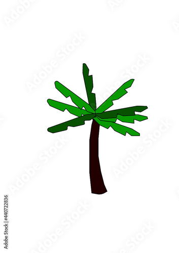 Palma