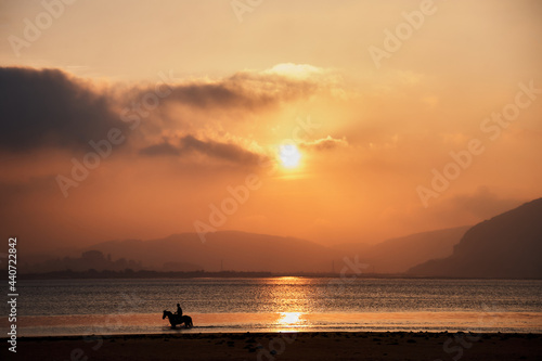 relaxing horseback ride at sunset in the estuary © carlos perez gomez