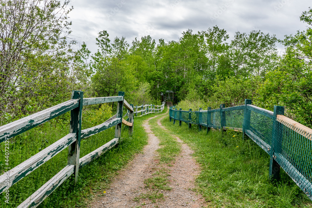 Hiking trail leading to the Pointe aux Corbeaux rock in Paspebiac, Quebec (Canada) Hiking trail leading to the Pointe aux Corbeaux rock in Paspebiac, Quebec (Canada)