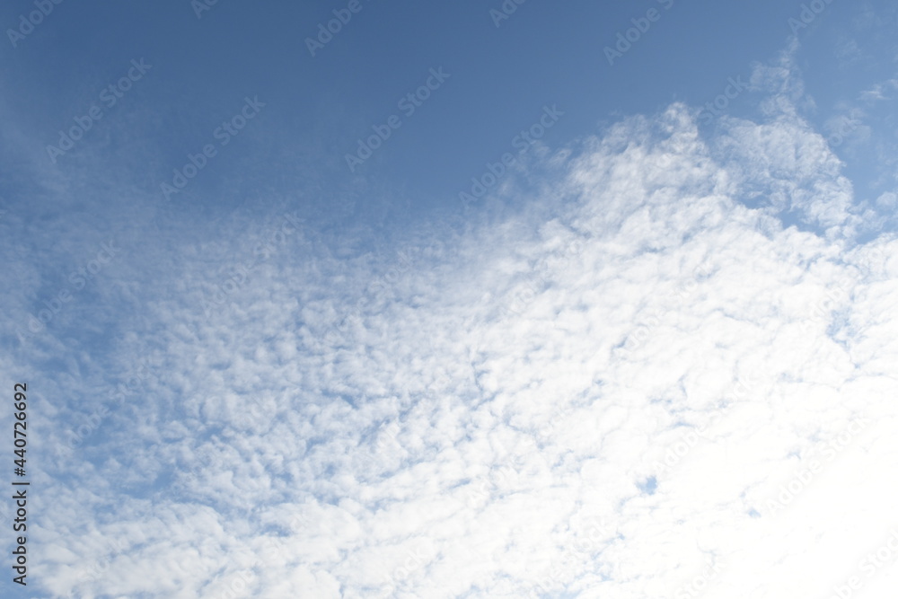 Obraz premium 空のひつじ雲