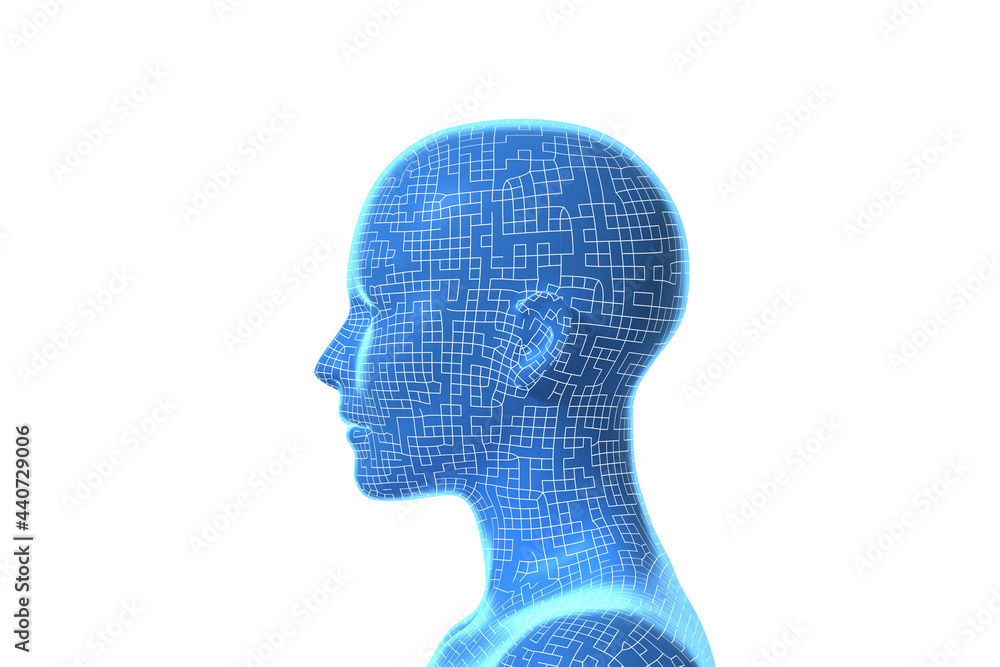 Woman, Head of Human Female, 3D