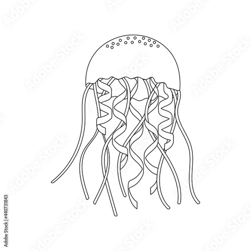 line art silhouette of a black jellyfish on a white background. vector illustration. close-up, isolated, marine life, sea animal