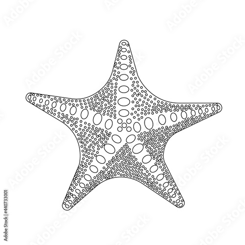 line art silhouette of a black starfish on a white background. vector illustration. close-up, isolated, marine life, sea animal