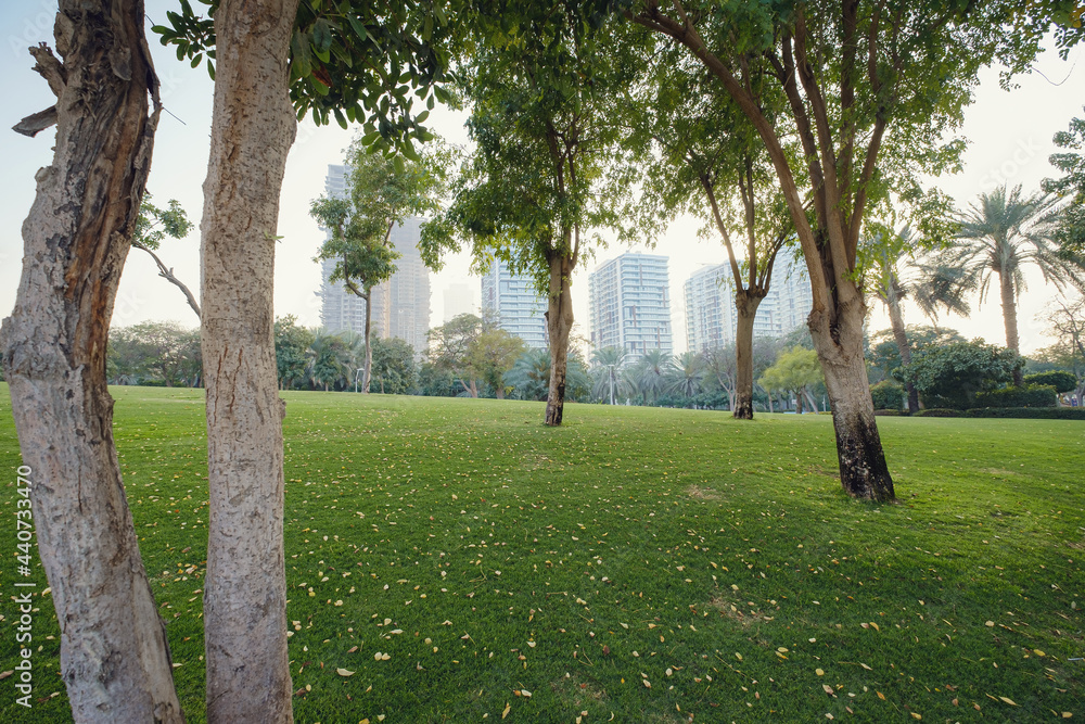 Alley with green lawn and trees in the Zabeel park Alley with green lawn and trees in the Zabeel park