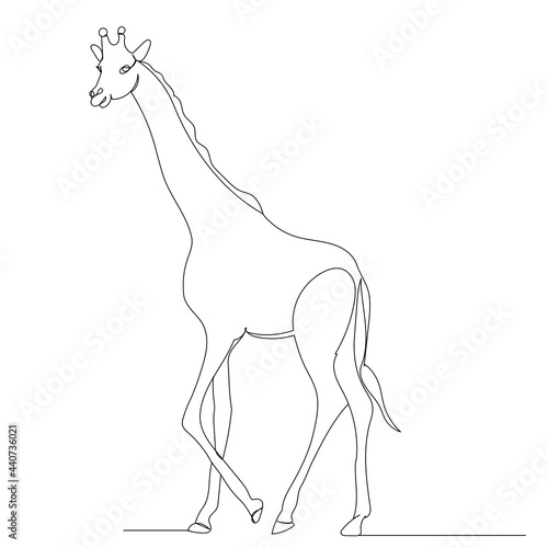 giraffe one line drawing isolated, vector