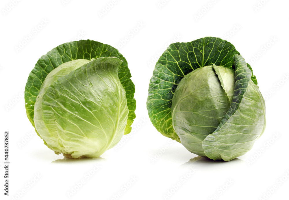 Fototapeta premium cabbage isolated on white background