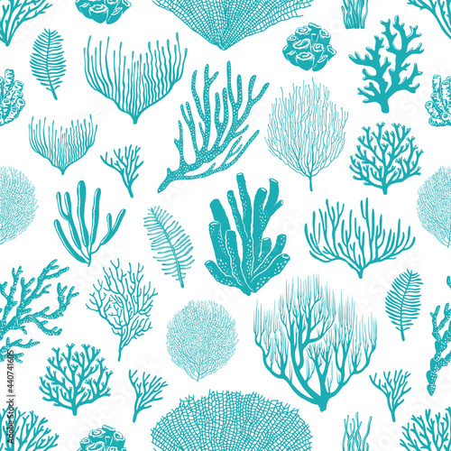 Sea corals, sponges and seaweed seamless pattern. Marine life background, ocean bottom species, aquarium animals and plants, underwater flora and fauna backdrop, textile decoration photo