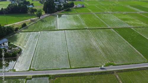 Car drives on a road surrounded by lush green rice paddy fields full of water in the prefecture of niigata. photo