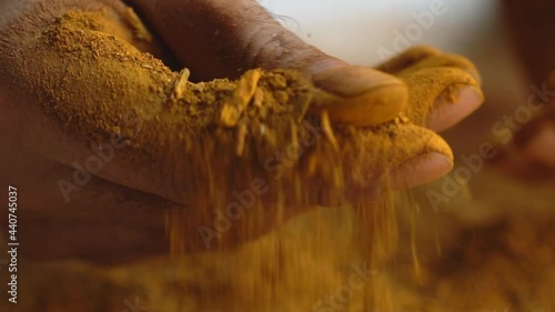 Macro Shot Of Hands During Process Of Creating Madder Powder From Plant Roots photo