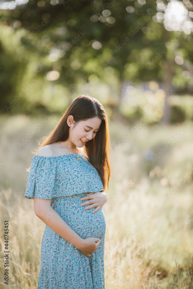 Asian young pregnant woman in blue dress relaxing and enjoying life in grass nature at summer day. Healthy pregnant. Copy space Asian young pregnant woman in blue dress relaxing and enjoying life in grass nature at summer day. Healthy pregnant. Copy space