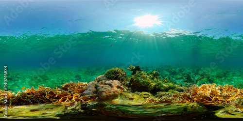Sealife  Diving near a coral reef. Beautiful colorful tropical fish on the lively coral reefs underwater. Philippines. 360 panorama VR