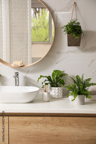 Beautiful green ferns, towels and toothbrushes on countertop in bathroom