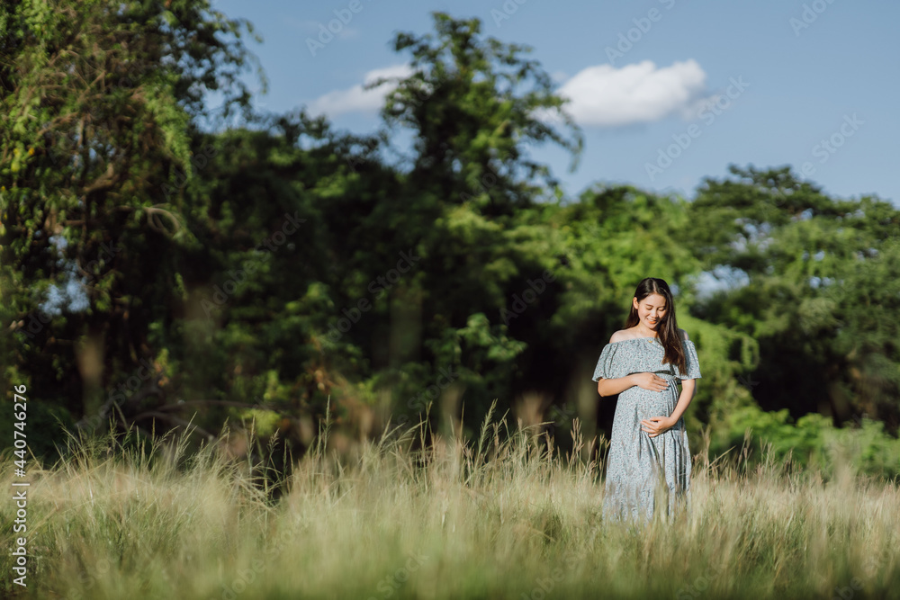 Asian young pregnant woman in blue dress relaxing and enjoying life in grass nature at summer day. Healthy pregnant. Copy space Asian young pregnant woman in blue dress relaxing and enjoying life in grass nature at summer day. Healthy pregnant. Copy space