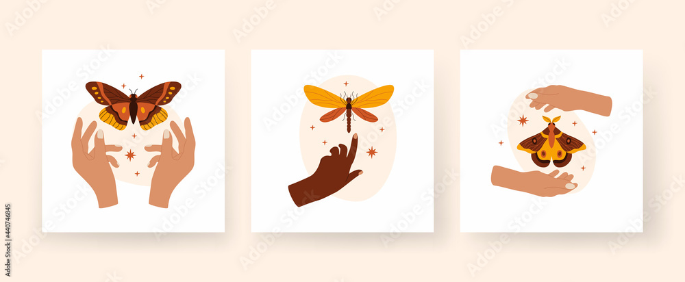 Obraz premium Trendy abstract square boho art set. Hands hold butterflies and dragonflies. Minimalistic composition with tropical insects and stars. Finger touches terracottata damselfly. Moth hovering between